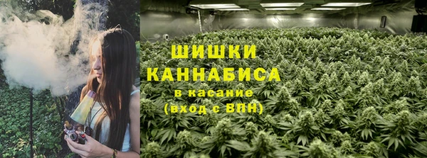 стафф Богородицк