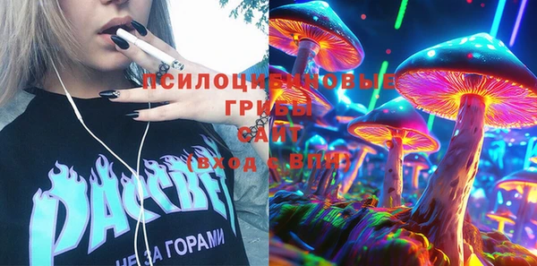стаф Беломорск
