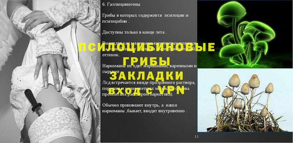 стаф Беломорск